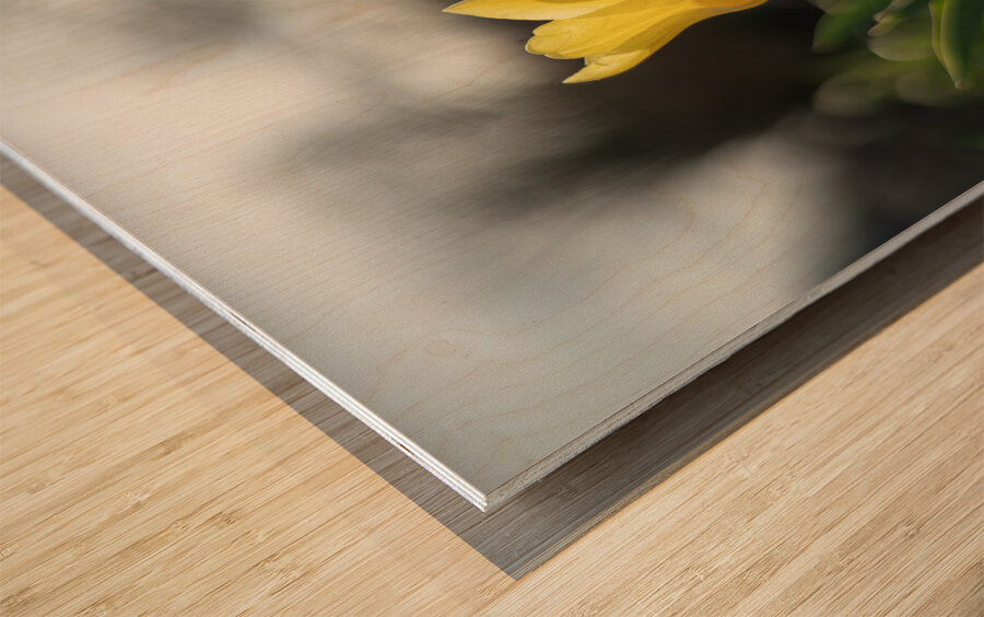 Twilight Tulip Wood print