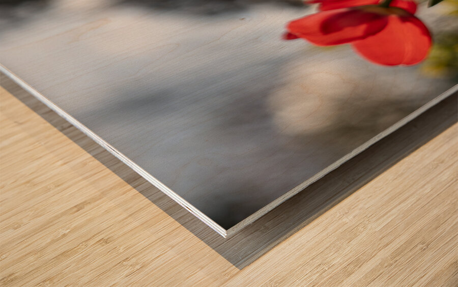 Crimson Blooms Wood print