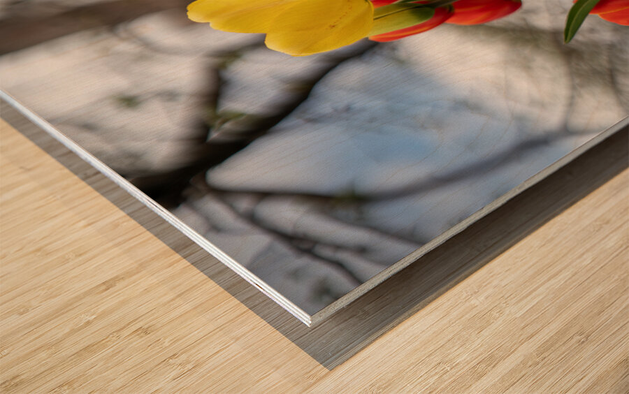 Sunlit Symphony Wood print