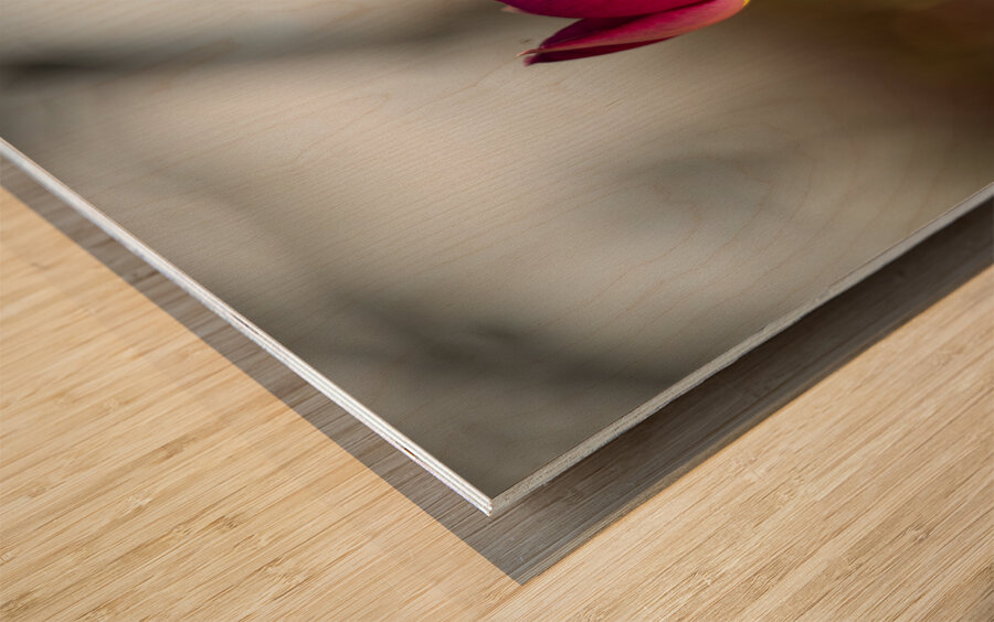 Wine Stained Whispers Wood print