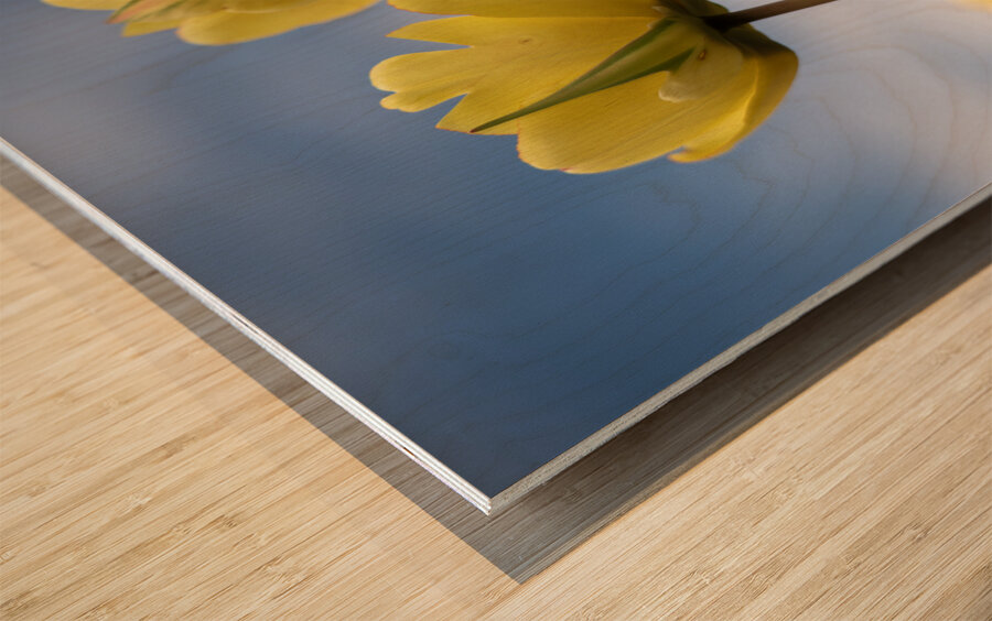 Yellow Cascade Wood print