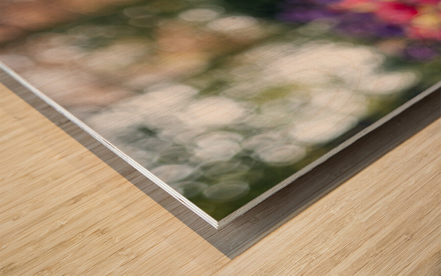  SBP5487 Impression sur bois