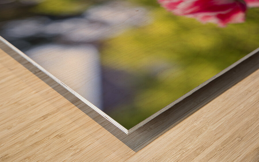  SBP7968 Impression sur bois