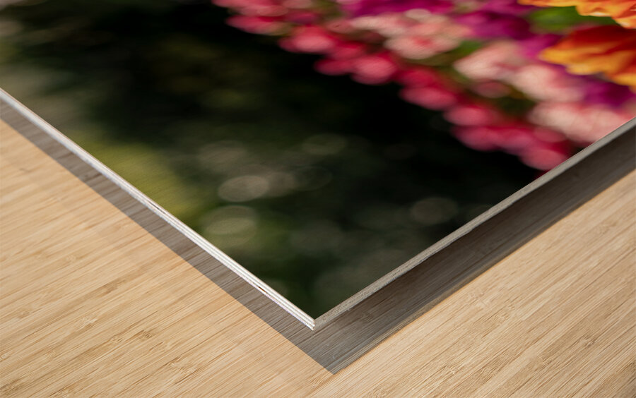 SBP6328 Impression sur bois