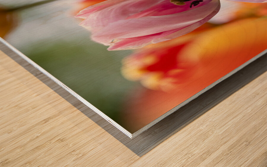 SBP5727 Impression sur bois