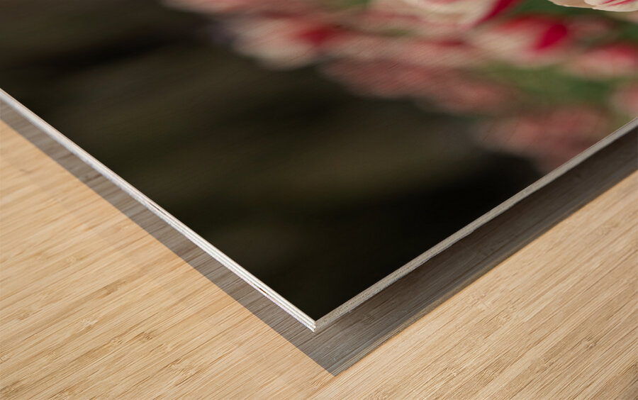 SBP6643 Impression sur bois