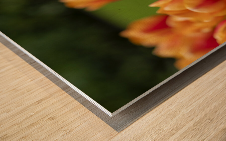 SBP5574 Impression sur bois