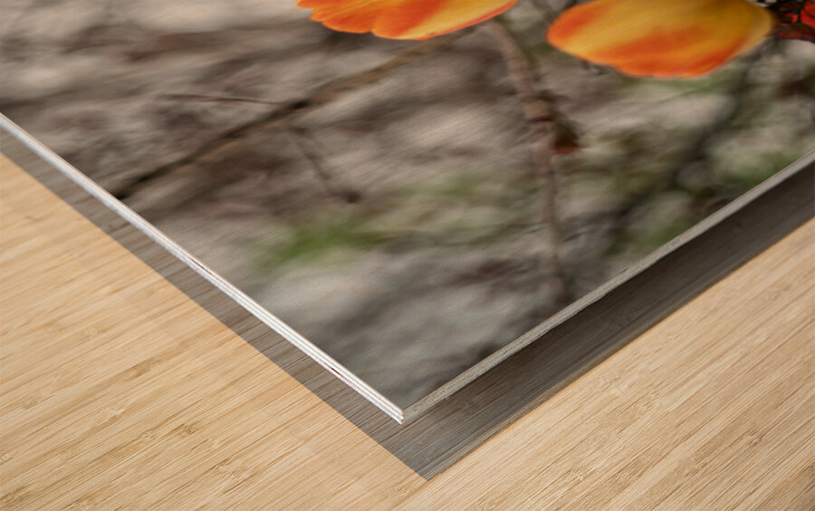 SBP8316 Impression sur bois