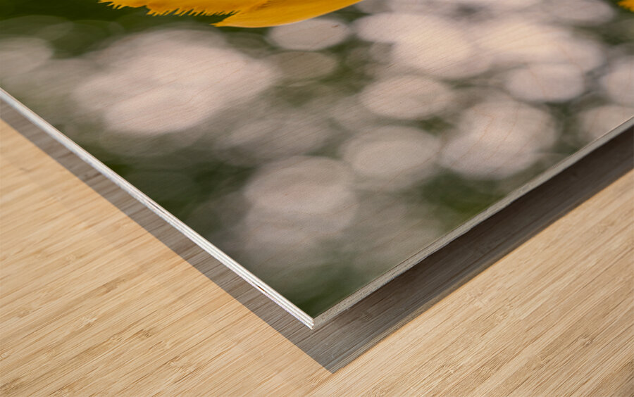 SBP5699 Impression sur bois