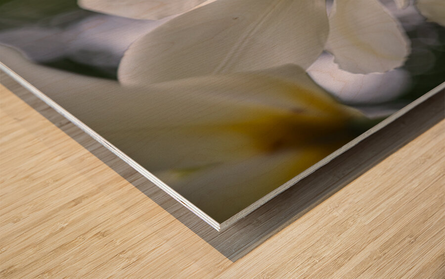 SBP5705 Impression sur bois