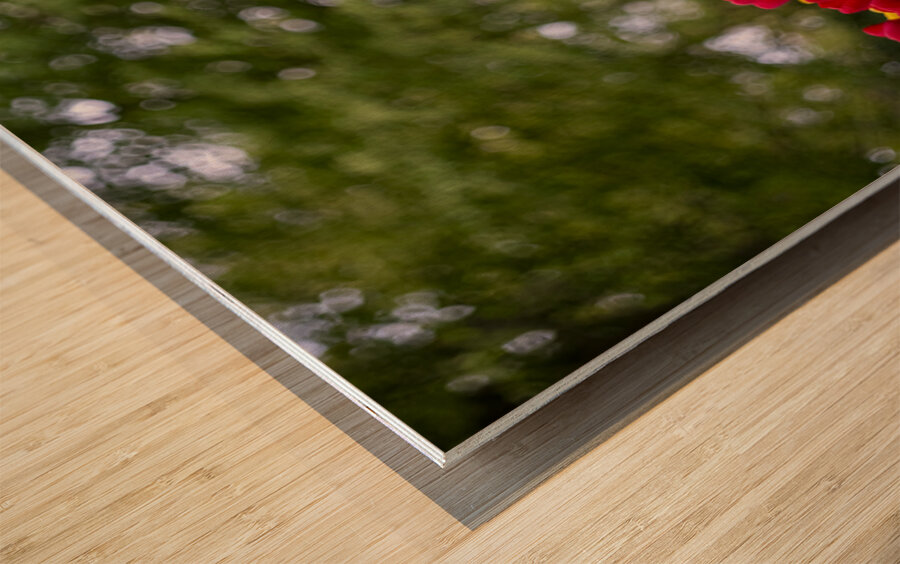 SBP5721 Impression sur bois