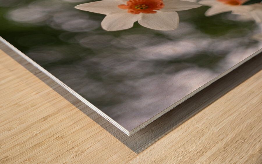 SBP5823 Impression sur bois