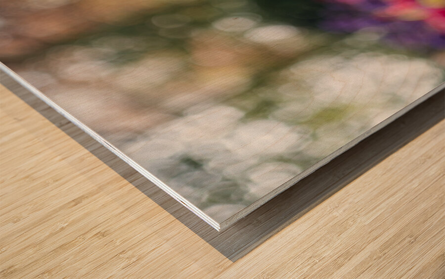 SBP5487 Impression sur bois