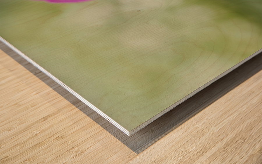 Tiny Beauty Wood print