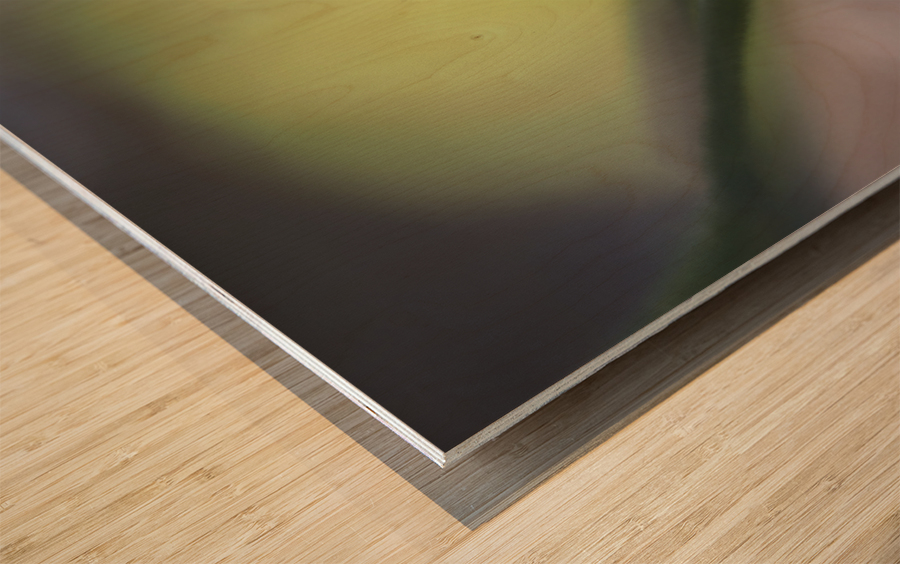 Tiny Blue Umbrella Wood print