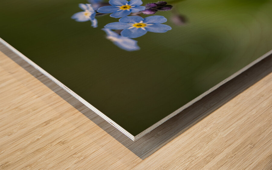 Never Forget Wood print