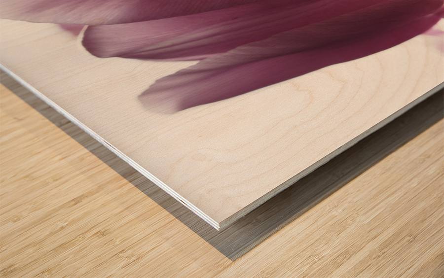 Pink Tulips Impression sur bois