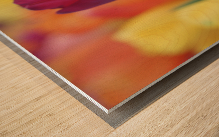 Colorful Wood print