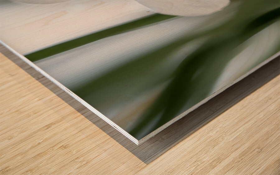 New Beginnings Wood print