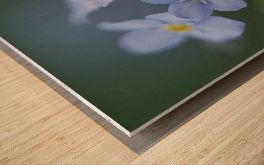 Ladies In Blue Wood print