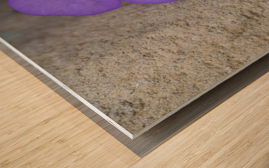 Magic Flower Wood print