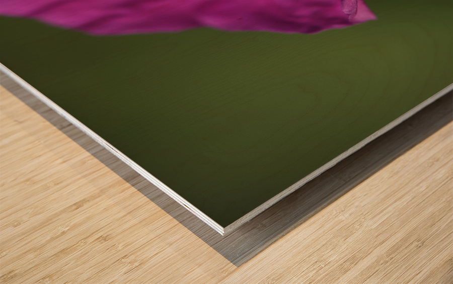 The Heart Of It Wood print