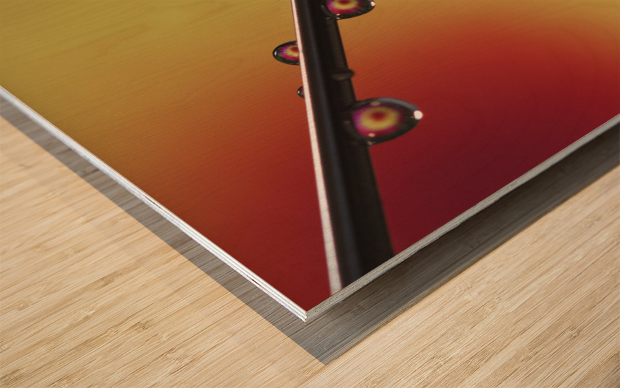 Experiment Wood print