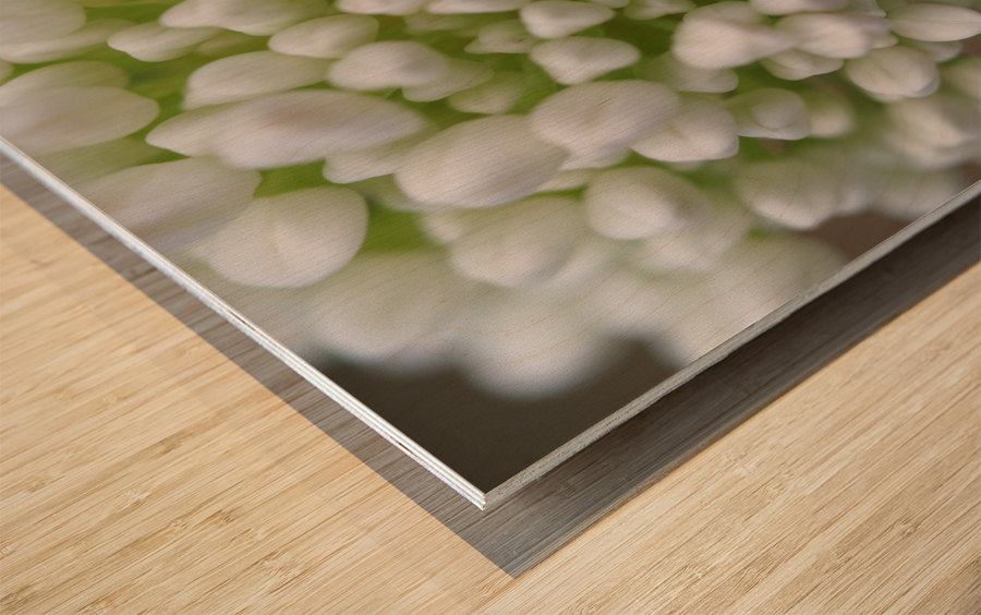 Another World Wood print