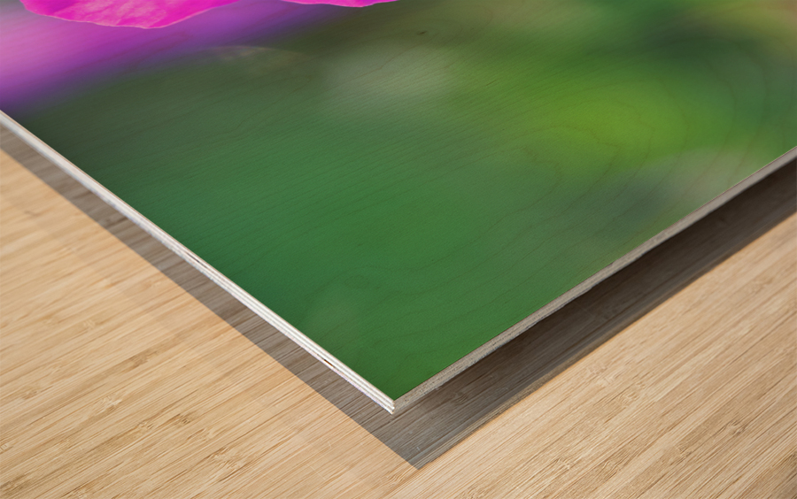 Little Bead Wood print