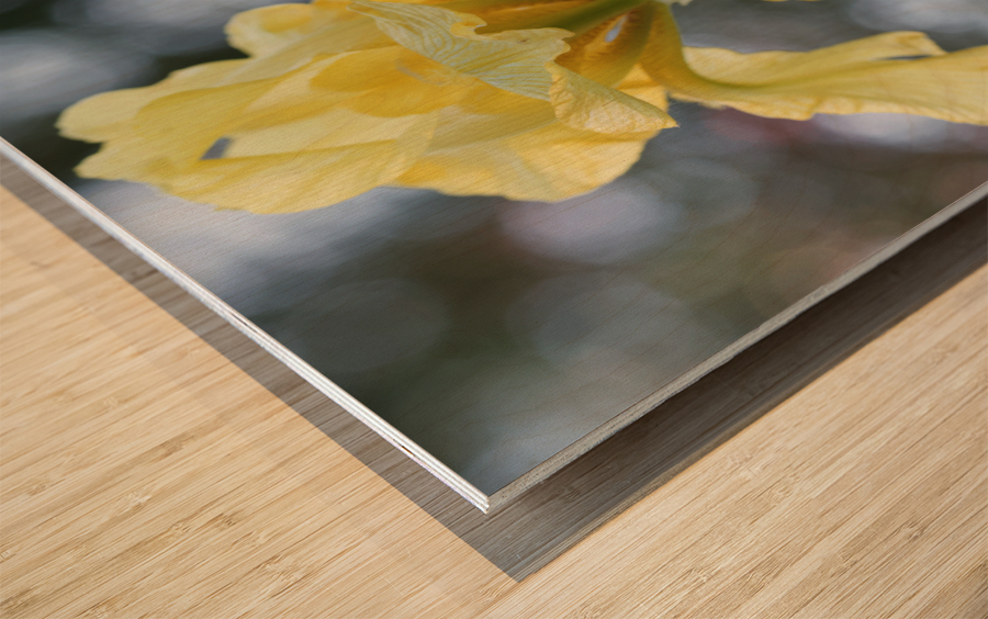 Water Flag Wood print