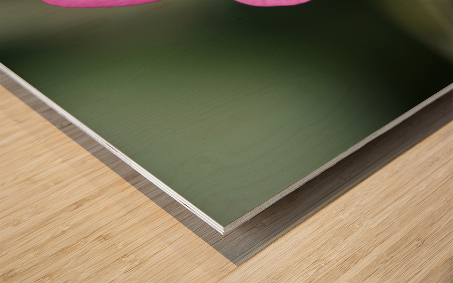 Splash Of Color Wood print