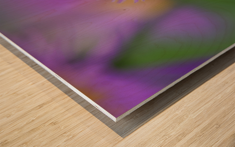 Day Dream Wood print