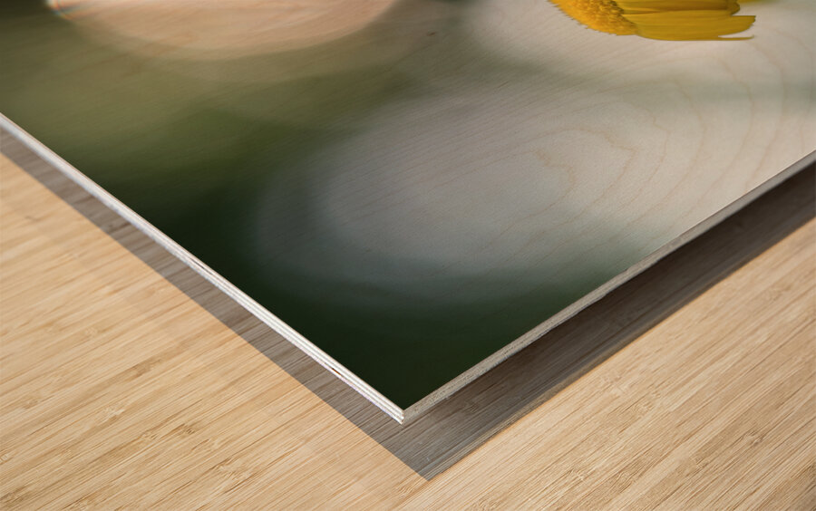 Life Is Strange Wood print