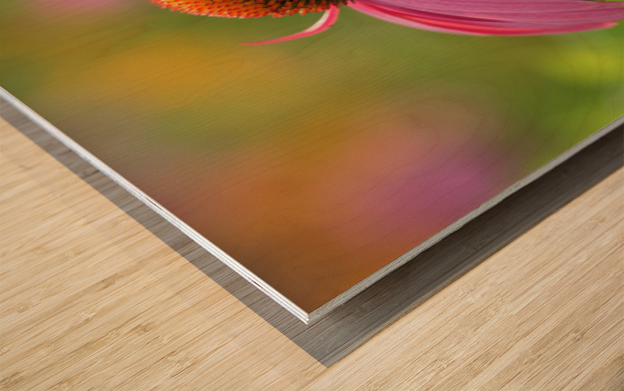 Little Devil Wood print