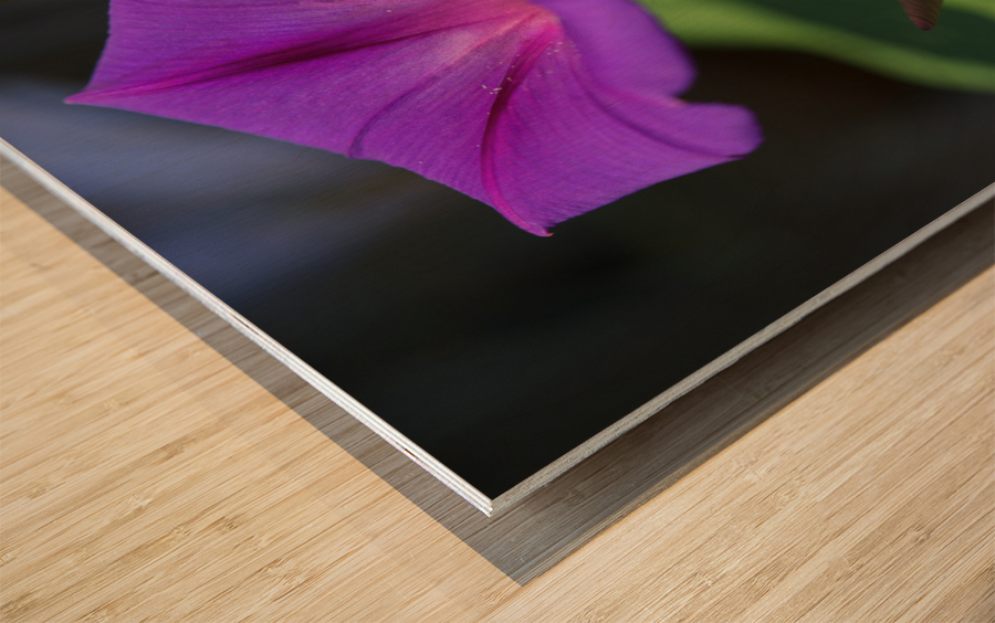 Shine Bright Wood print