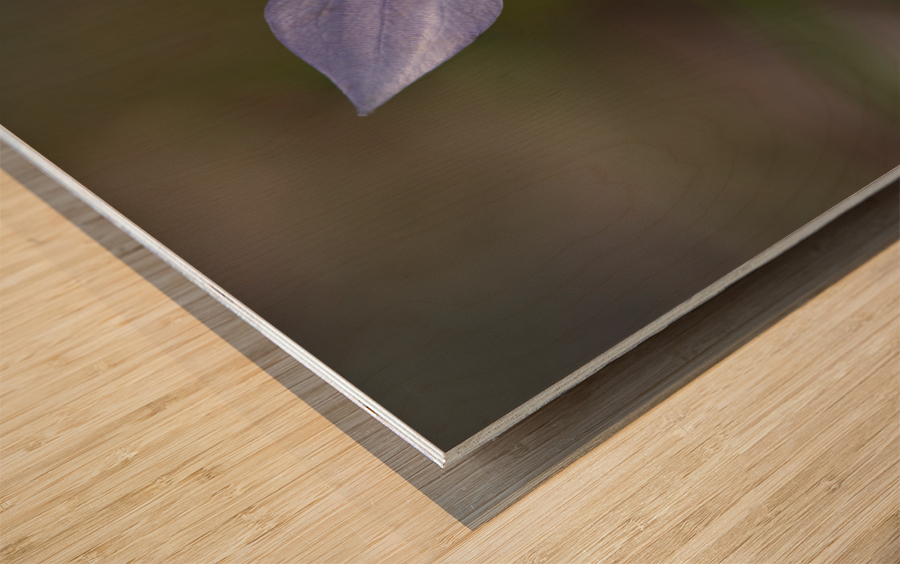 I See Blue Wood print