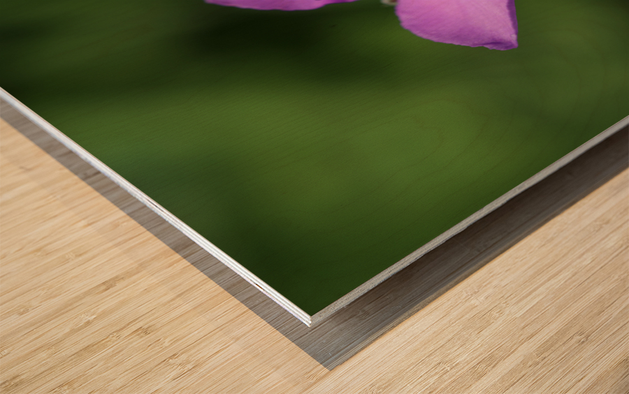 Visitor Impression sur bois