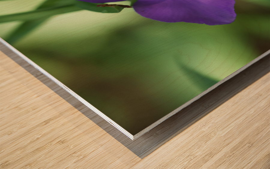 Bluejacket Wood print