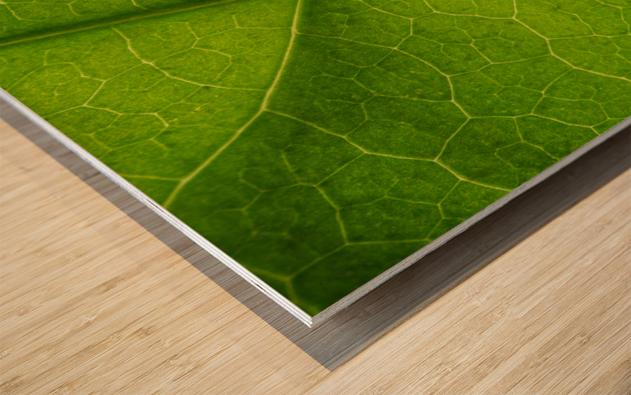 Leaf Texture Wood print