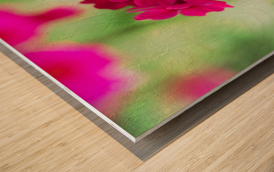 Valley Red Wood print