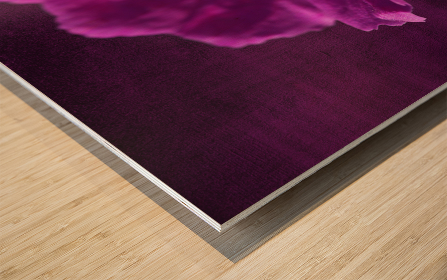 Bloody Geranium Wood print