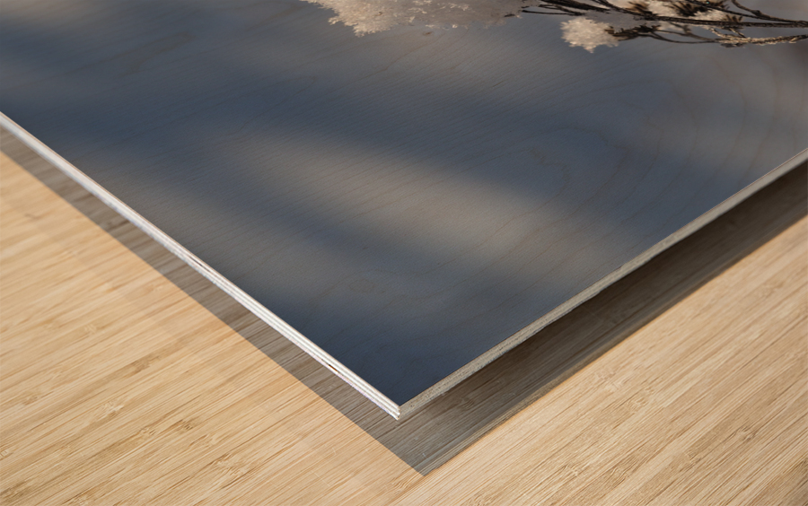 Frosted Twig Wood print