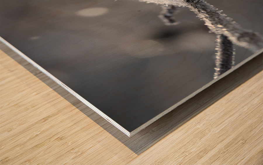 Frozen Wild Berry Wood print