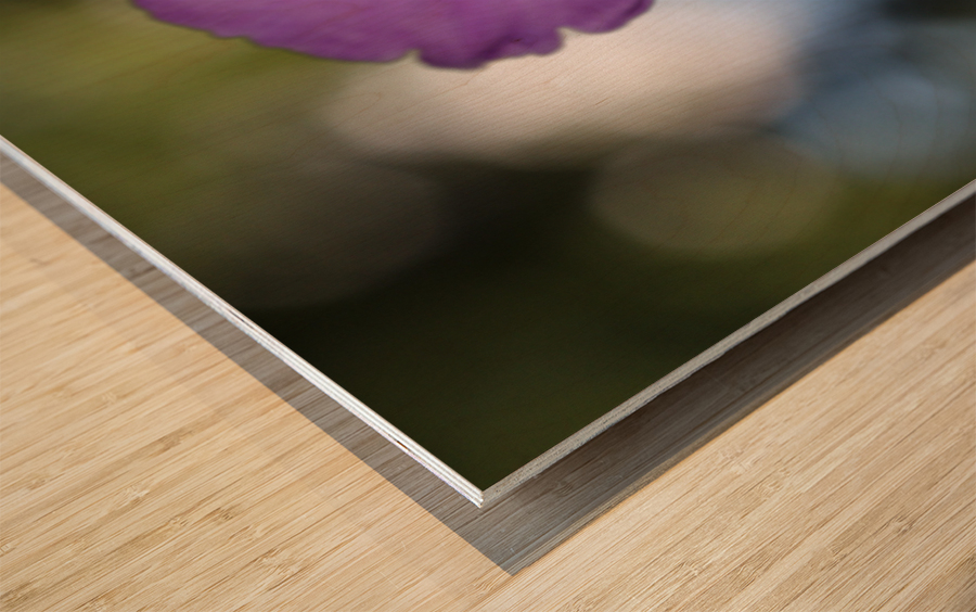 Prairie Beauty Wood print