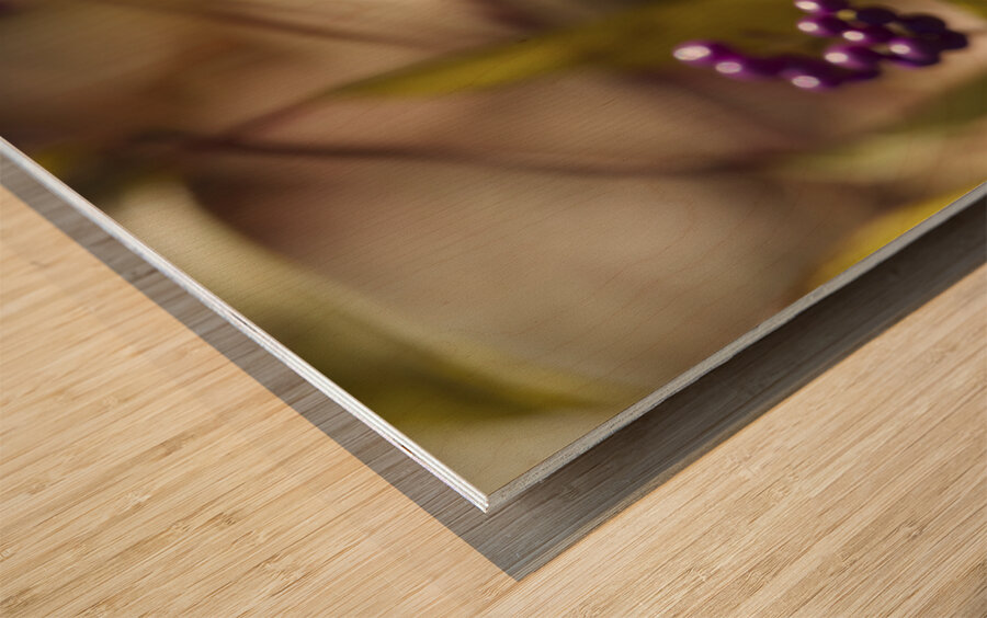 Profusion Wood print