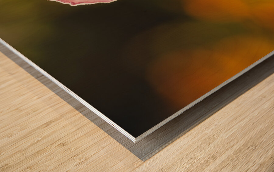 Among Others Wood print