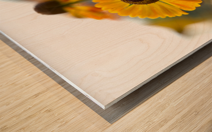 A Beautiful Day Impression sur bois