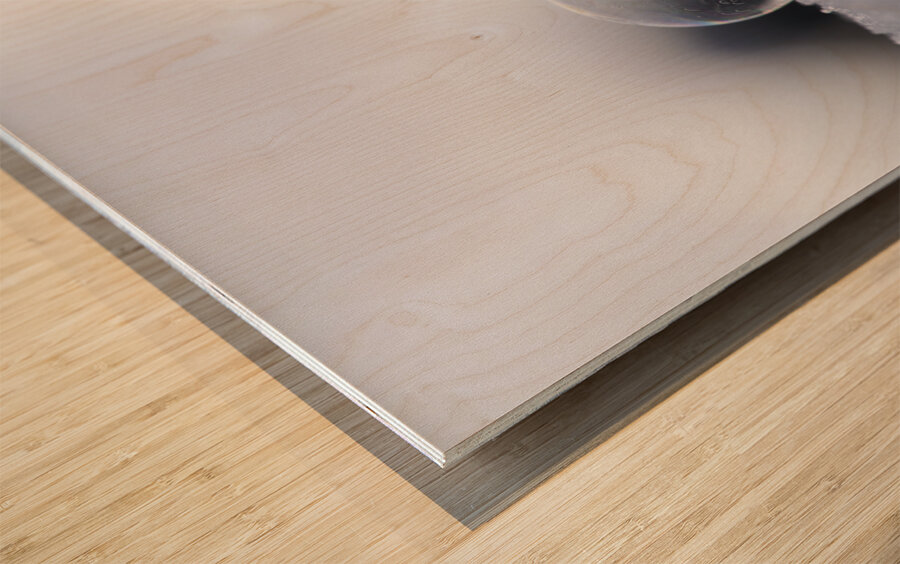 Soap Bubble Wood print