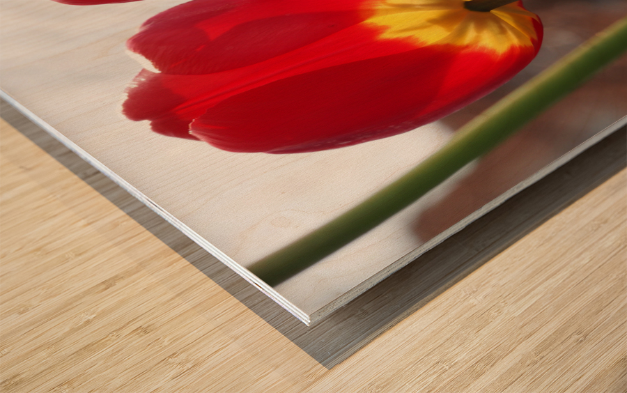 Twin Sisters Wood print