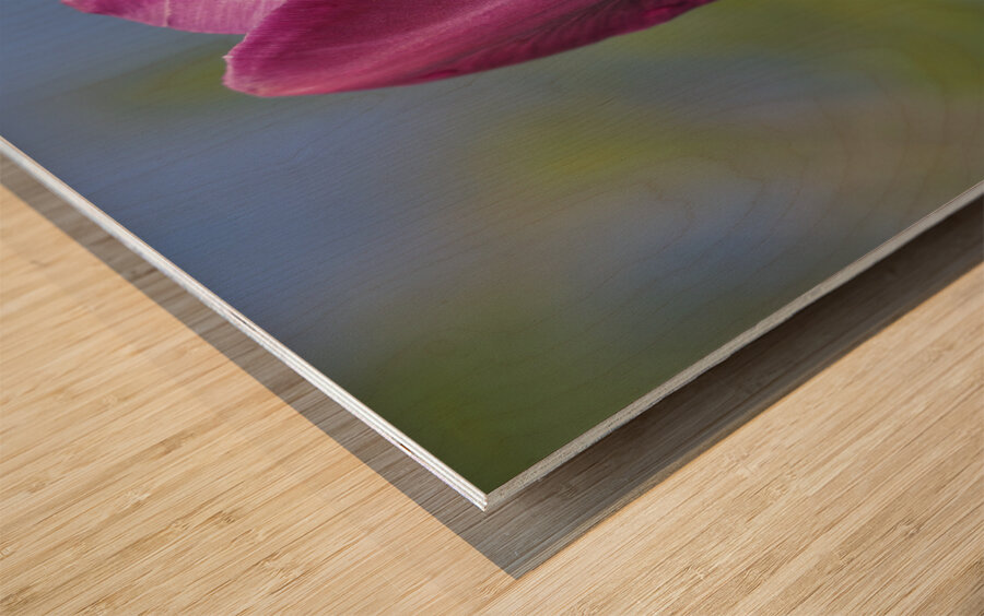 Perfect Day Wood print